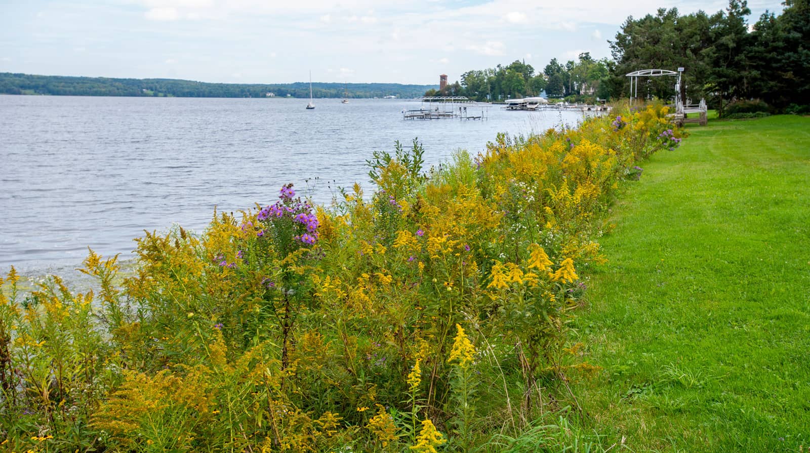 A view of the shoreline along Chauatuqua Lake with Miller Bell Tower in the background