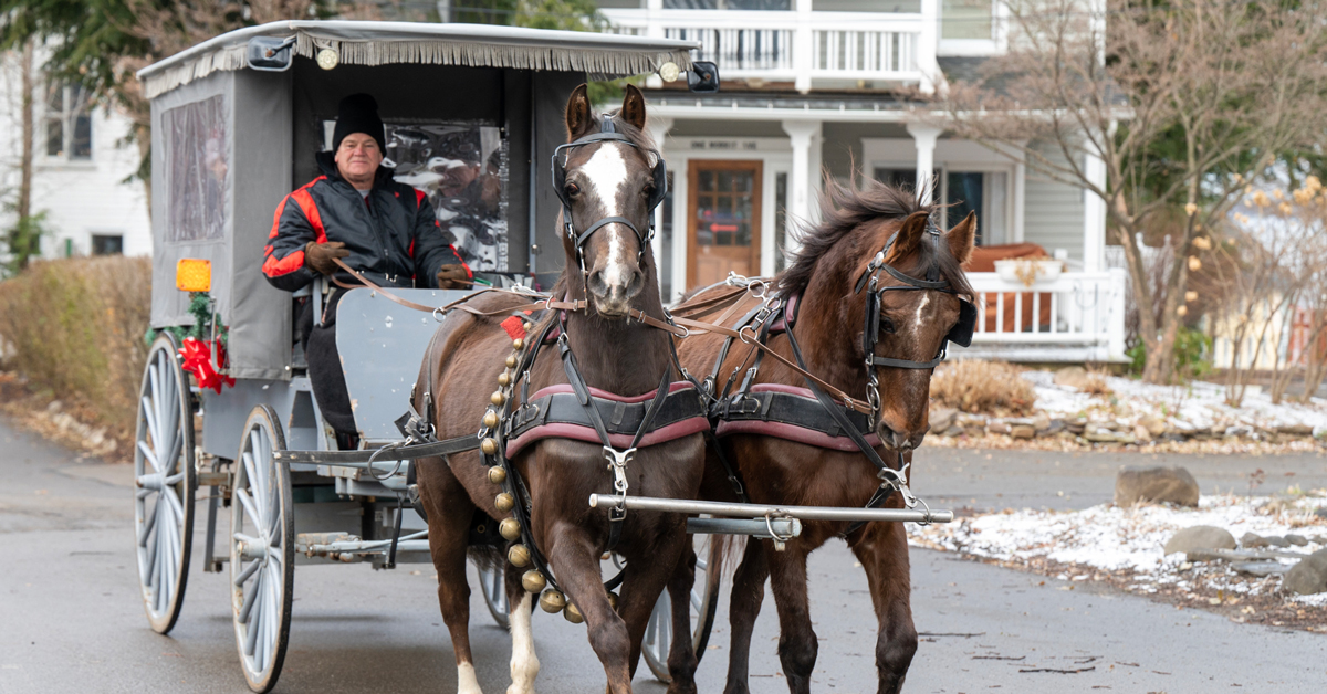 Winter Weekend Horse-Drawn Carriage Rides