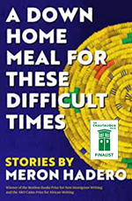 A Down Home Meal for These Difficult Times: Stories book cover