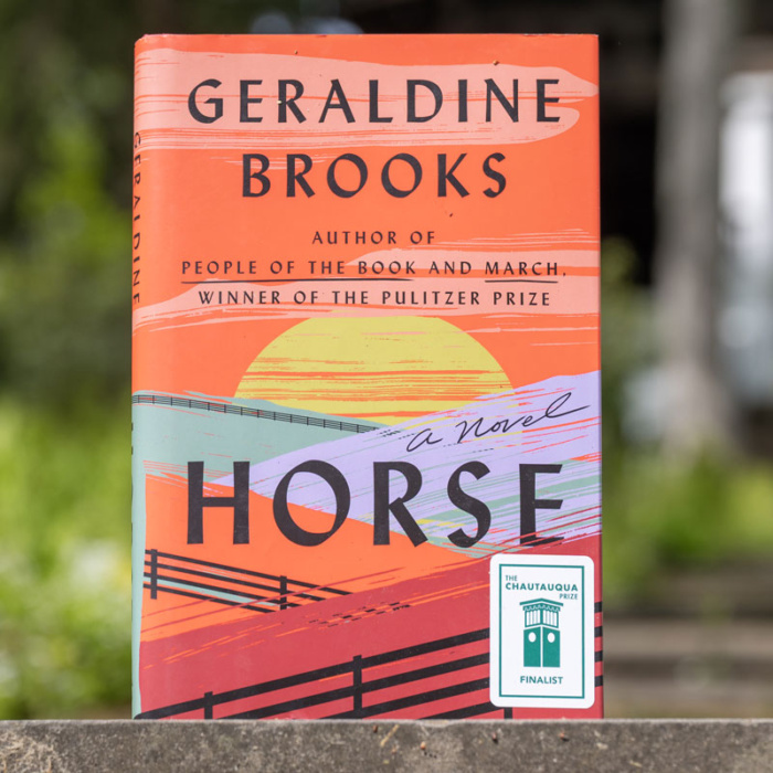 Horse: A Novel book cover