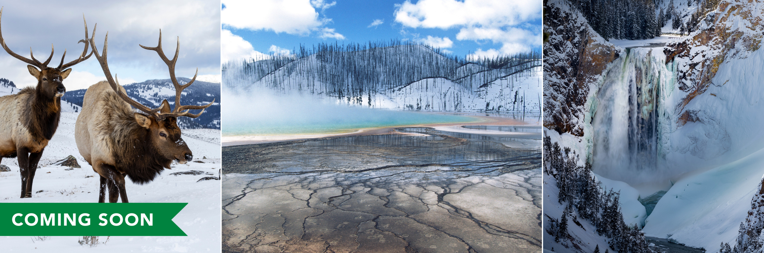 Views of Yellowstone National Park during the winter