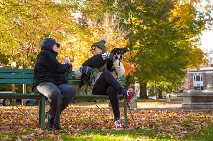 Two women talking on a bench in the fall