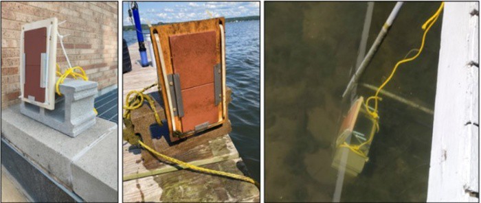 Algal tile survey substrate preparation and dockside deployment
