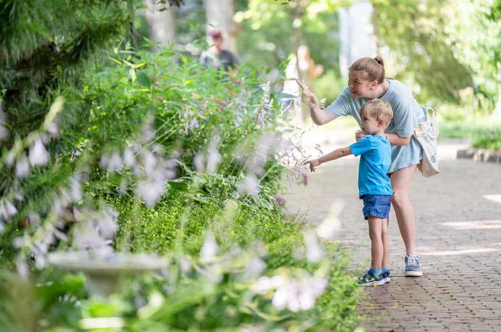 A young boy and girl pointing at something in a garden