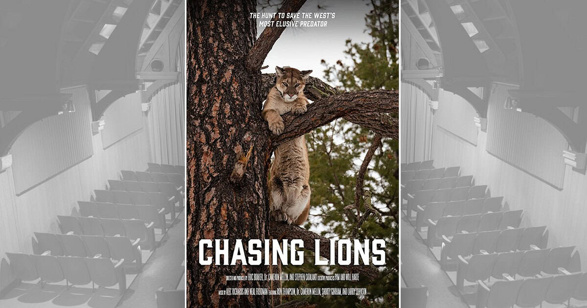 Chasing Lions movie poster