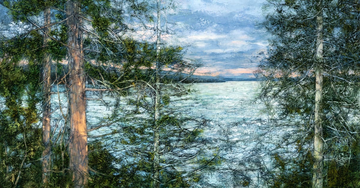 Forest-for-the-Trees-exhibition-image