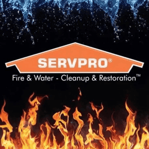 ServPro logo