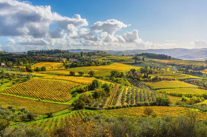 shutterstock_2708882013